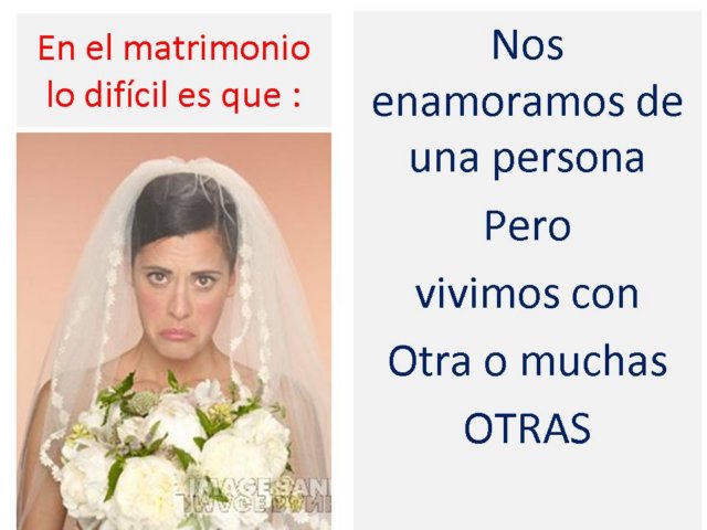 diapositiva03.jpg